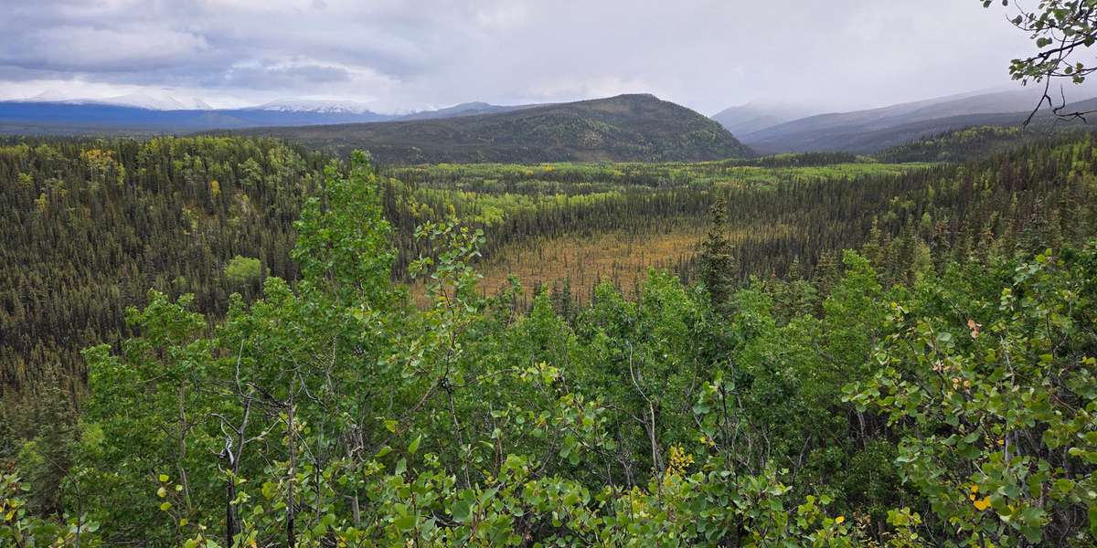 Meadow View Trail
