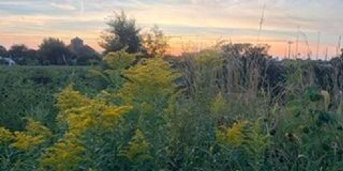 Palmisano Park Natural Area