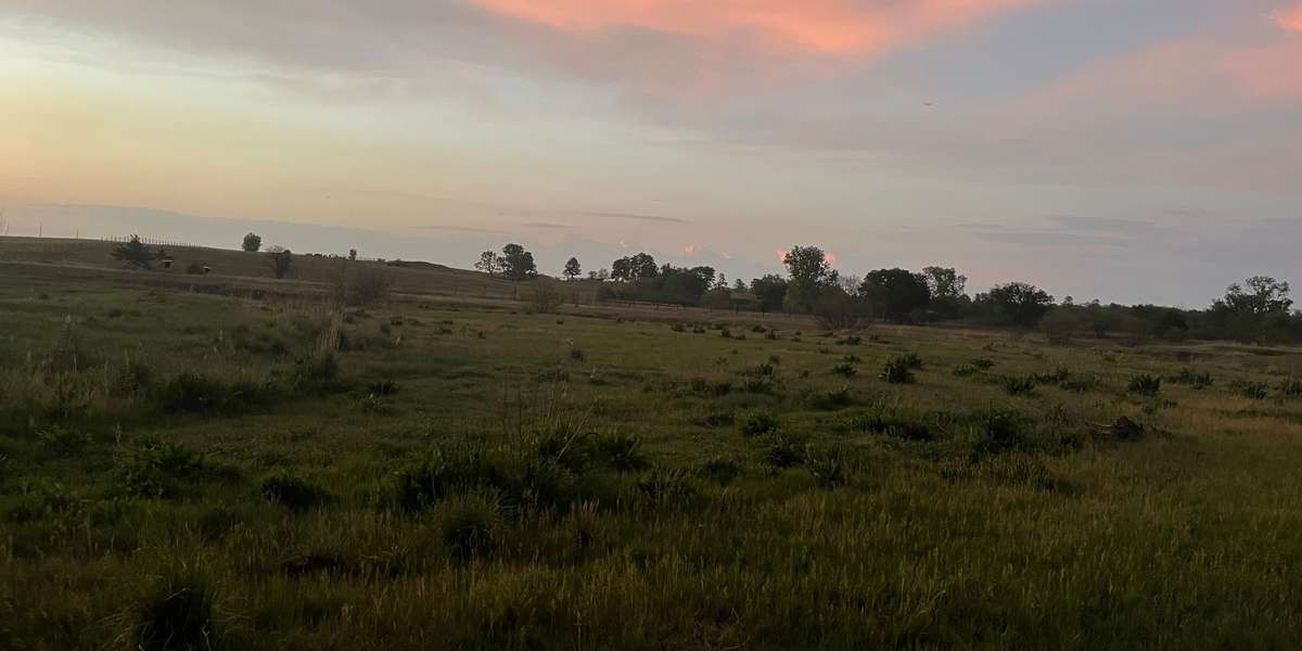 Prairie Corridor Trail at Pioneers Park Nature Center
