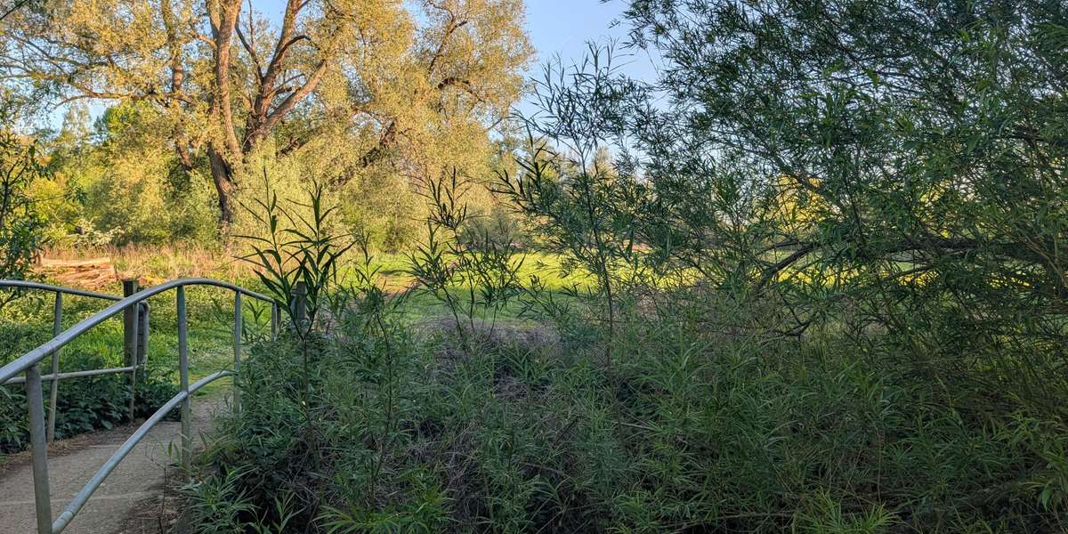 Park Farm Marston 105