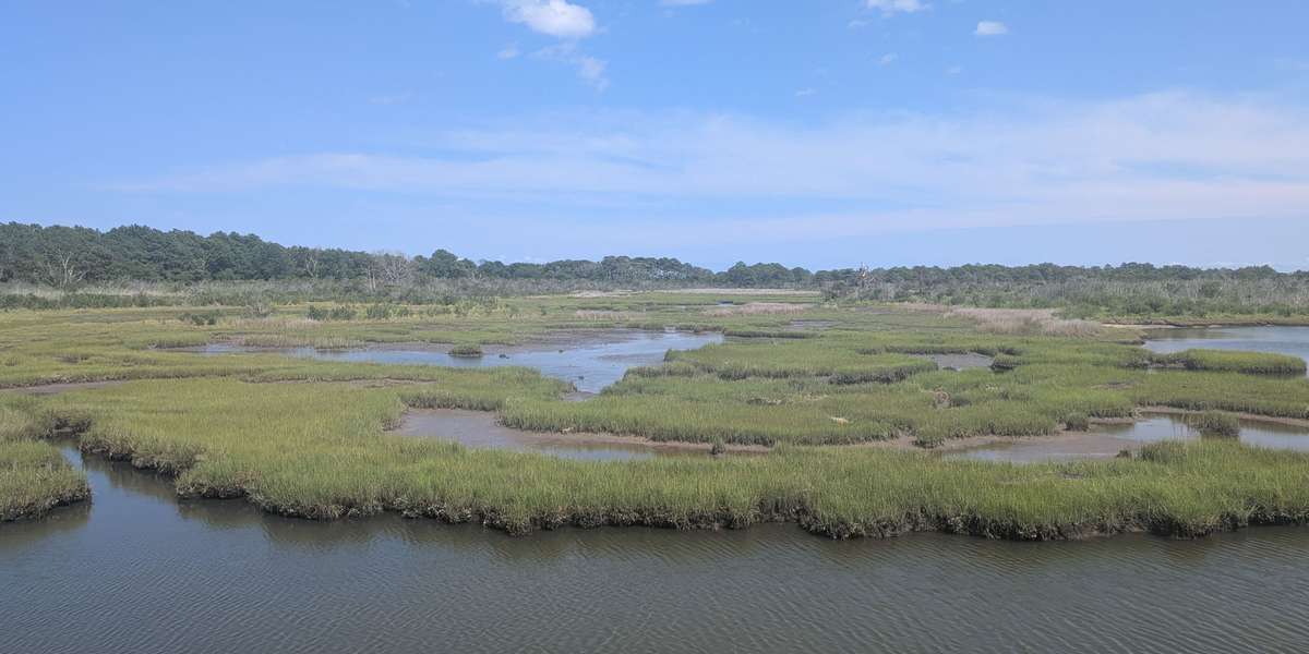 Assateague Island - Life of the Marsh Trail