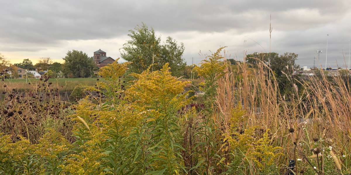 Palmisano Park Natural Area