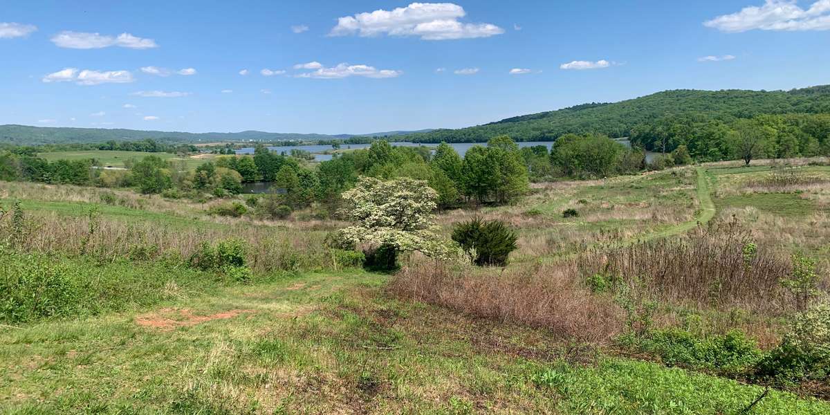 Conservation Trail Vista