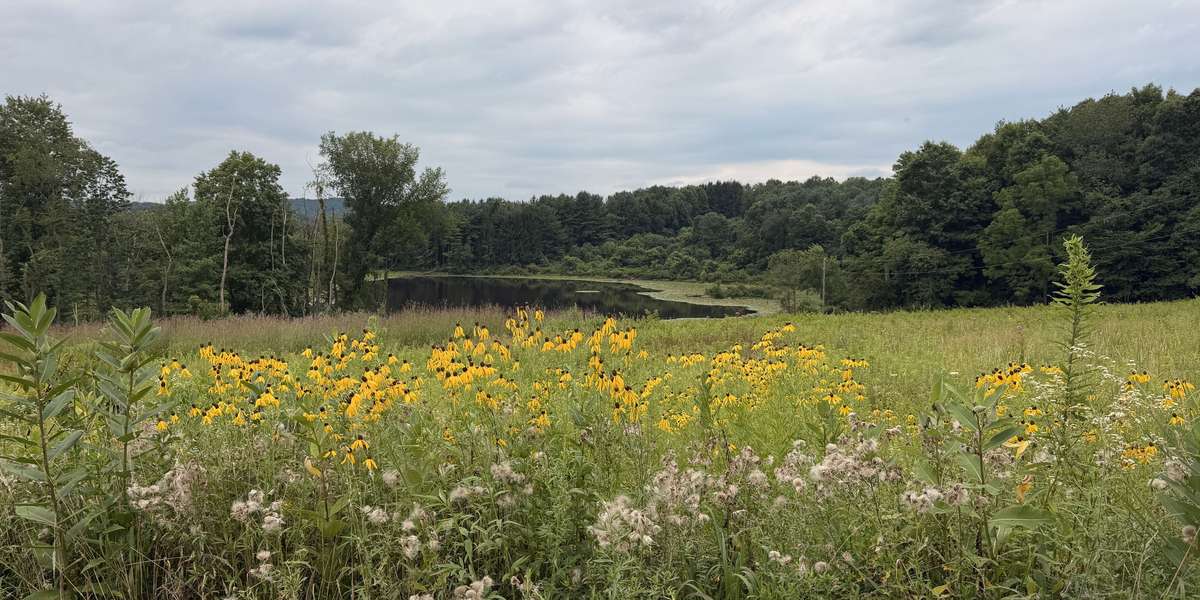The Wilderness Center Pollinator Prairie and Lake