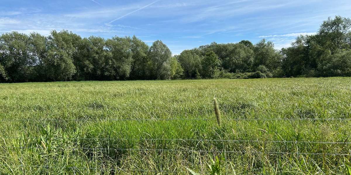 Park Farm Marston 103