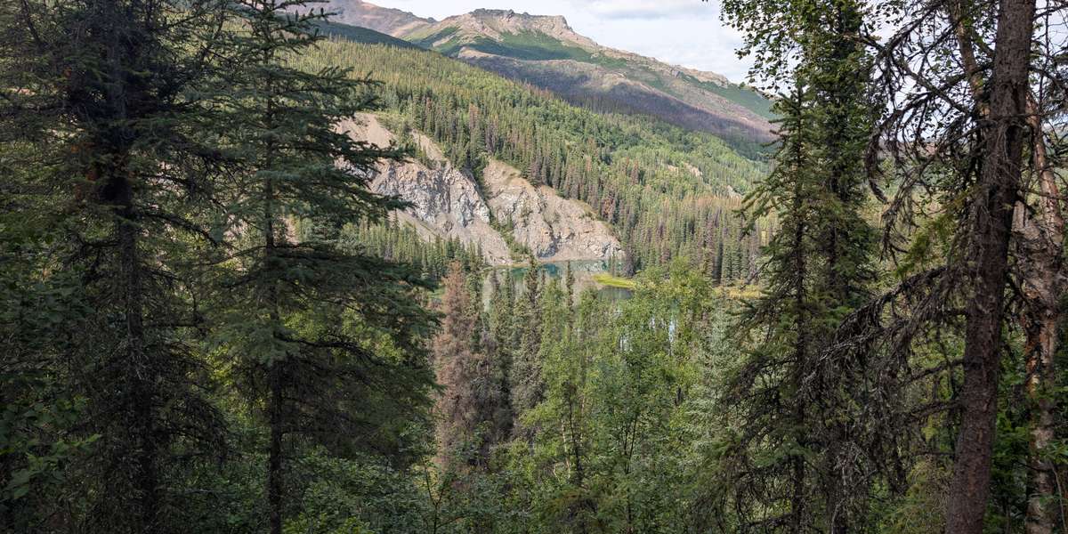 Horseshoe Lake Loop