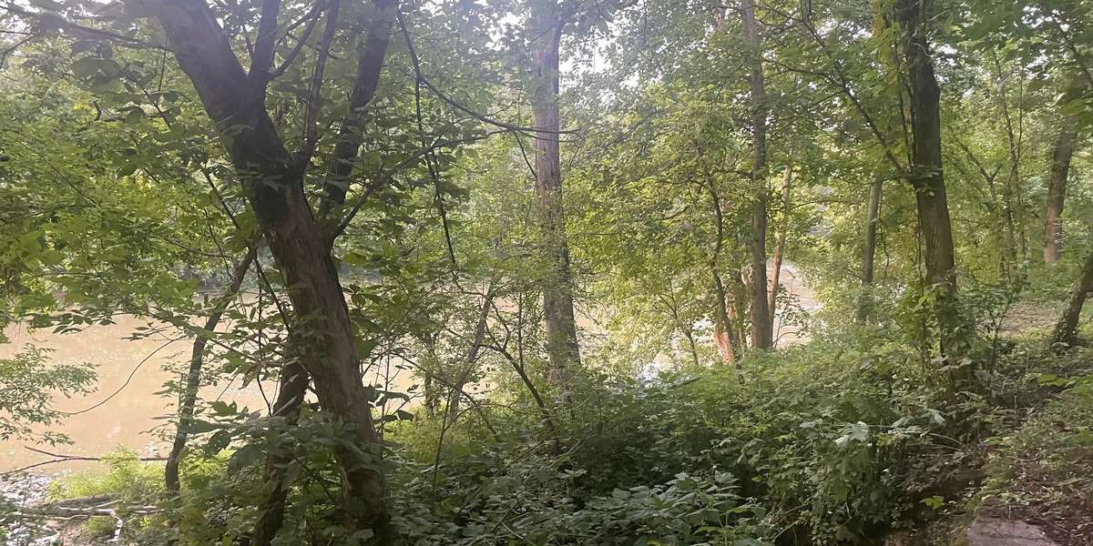 Six Sycamore Bend