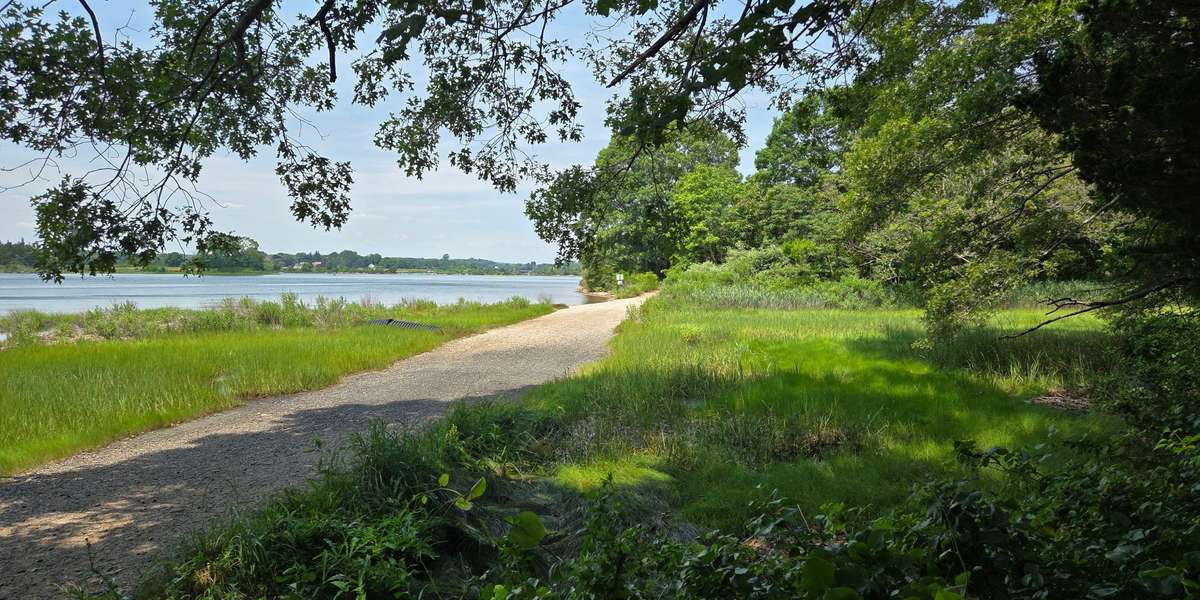 Bluff Point Trail Restoration
