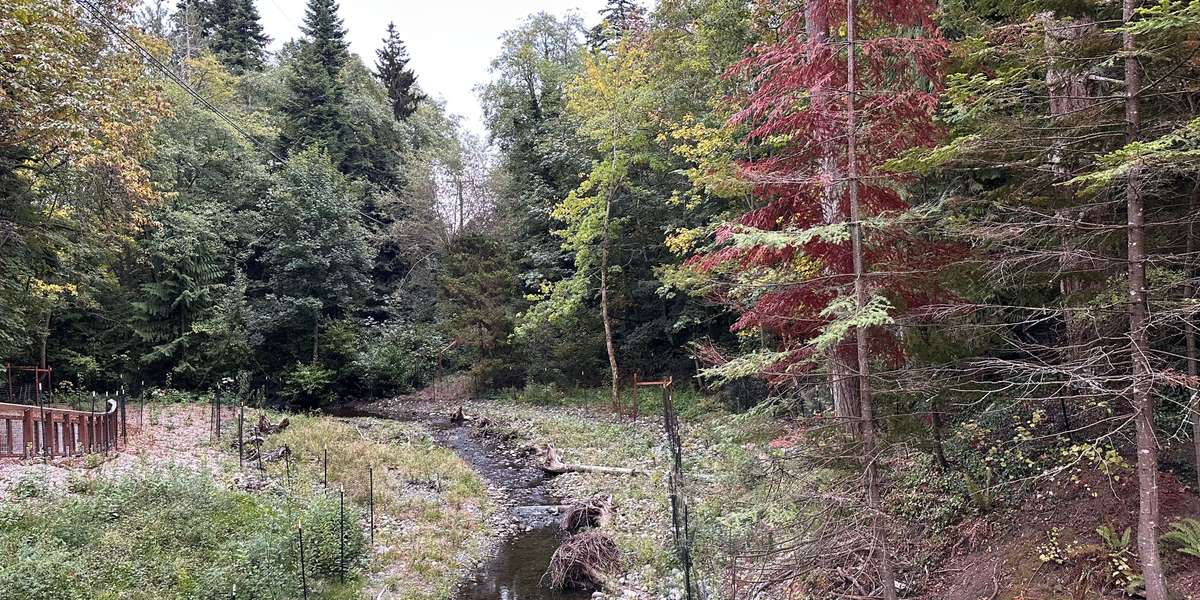 Padden Creek Fish Passage Project (14th Street)