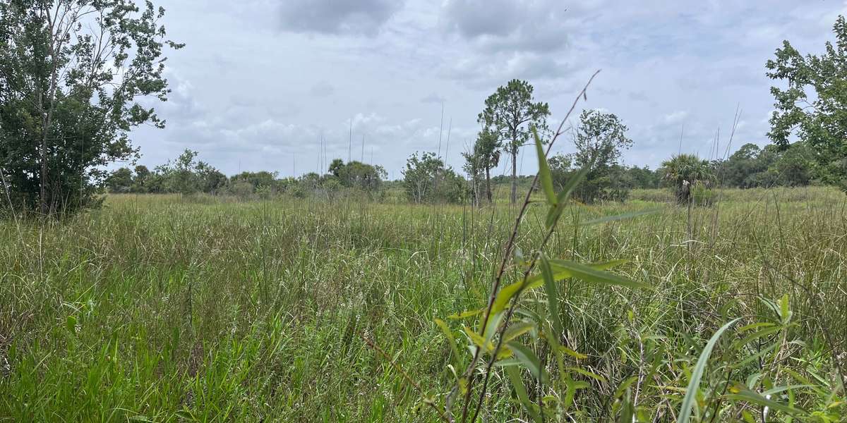 CREW Marsh Trails Boardwalk