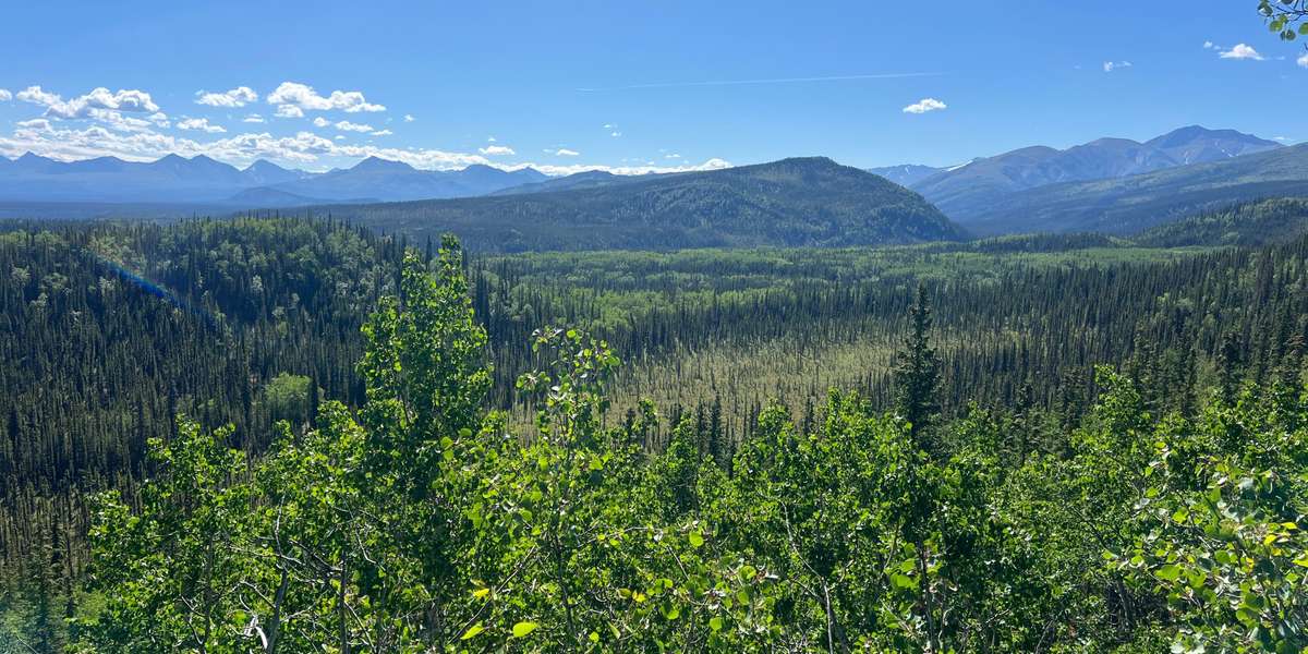 Meadow View Trail