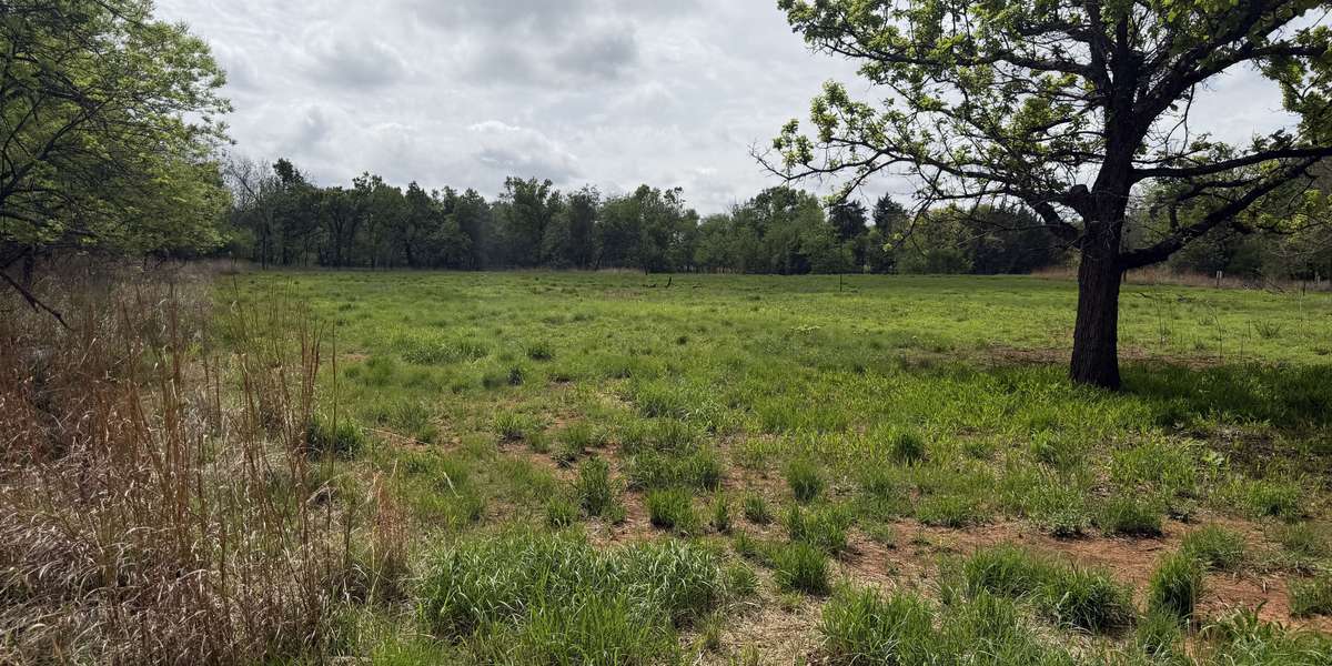 Red Stick Meadow Restoration