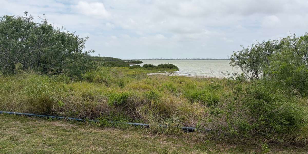 Oso Bay