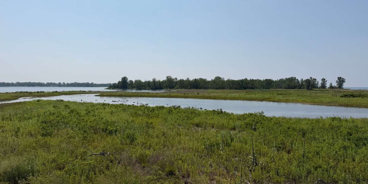 Gull Point Observation Platform