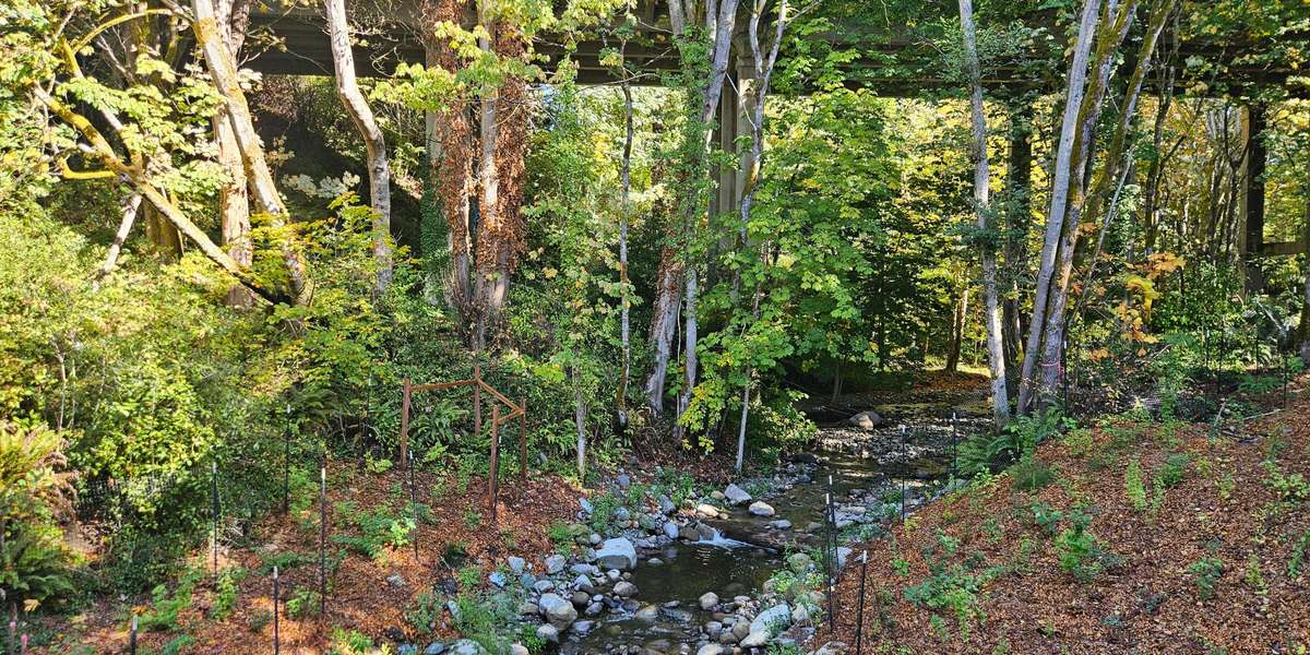 Padden Creek Fish Passage Project (12th Street)