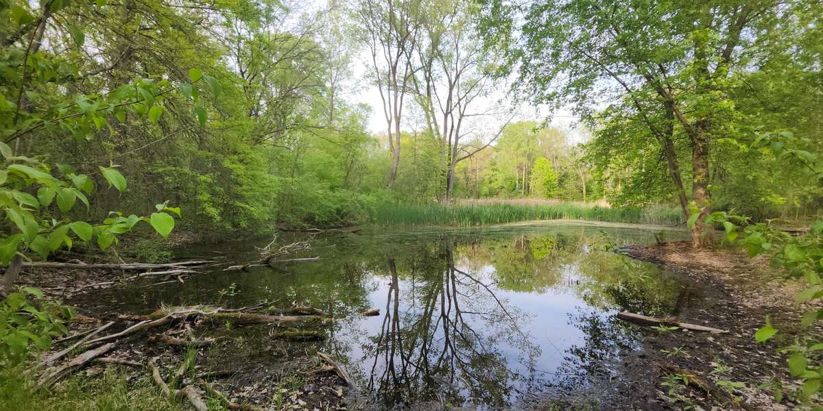 Tallgrass Prairie Heritage Pond