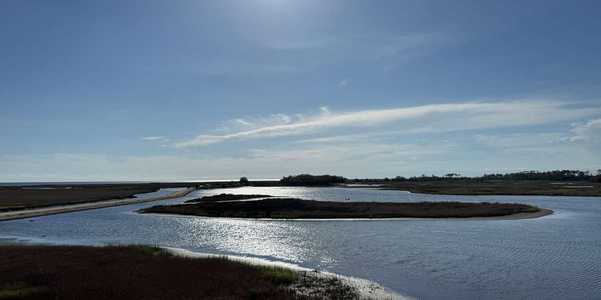 Big Bend WMA - Hickory Mound
