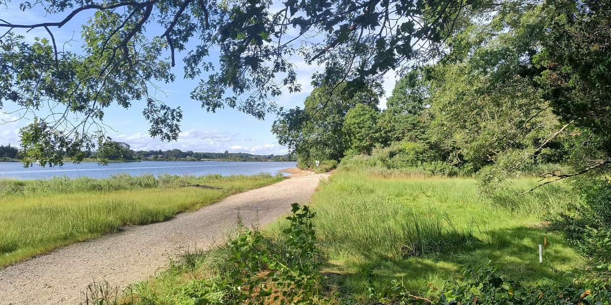 Bluff Point Trail Restoration