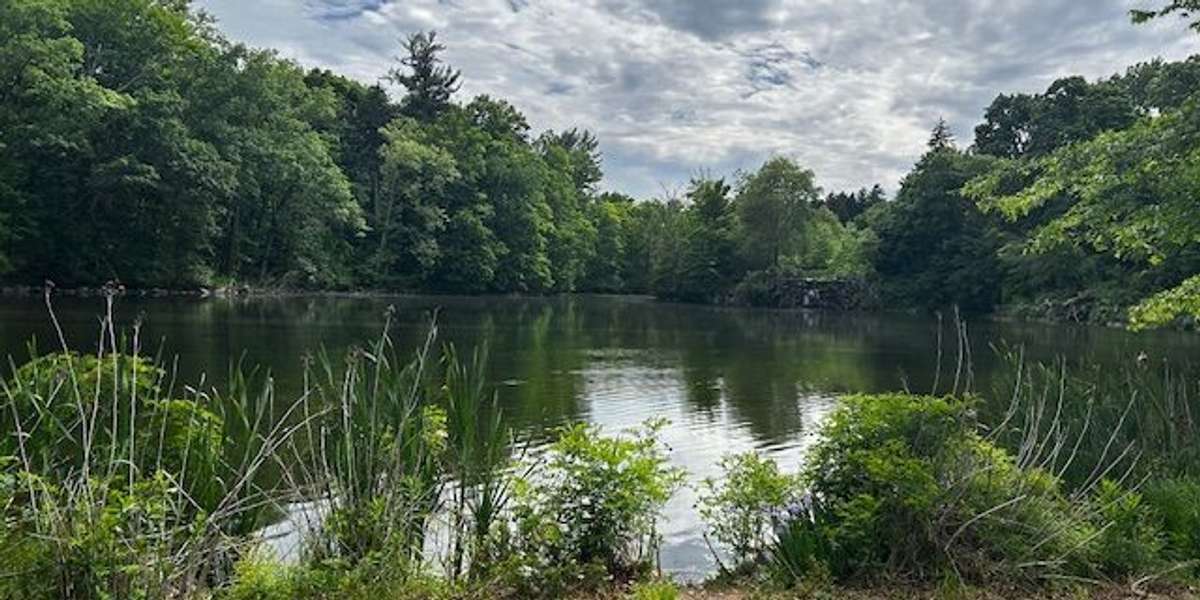 Otter Lake