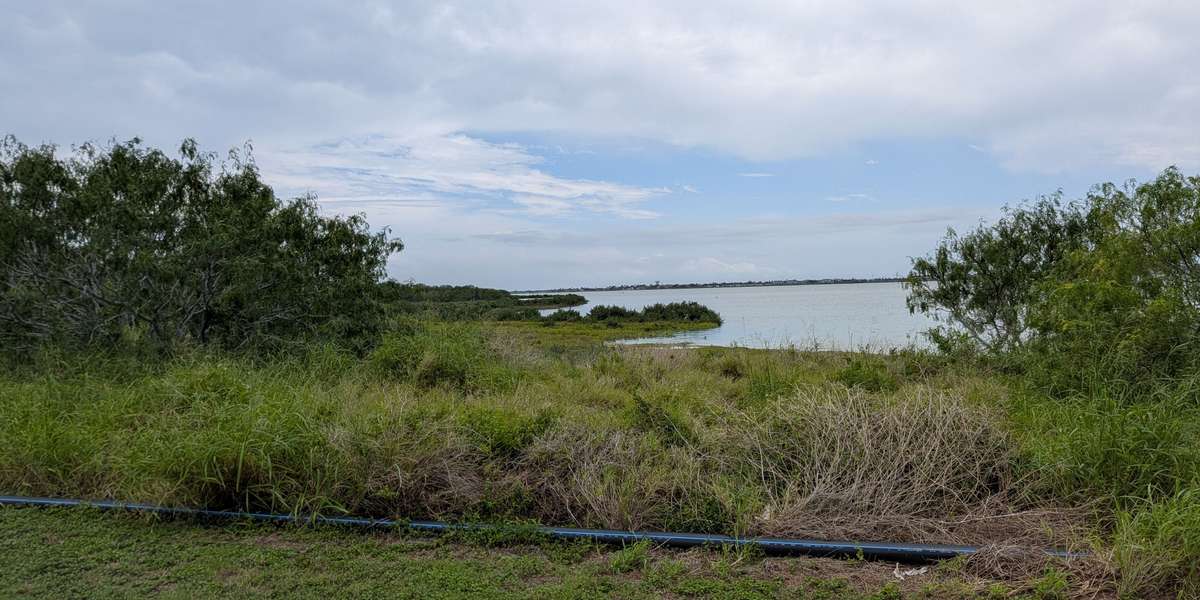 Oso Bay
