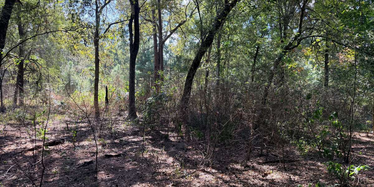 Inner Loop Woodland Restoration