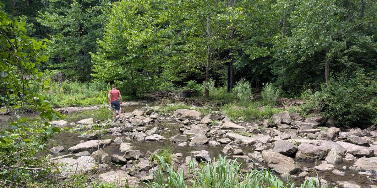 Nine Mile Run -- Streamside Bench