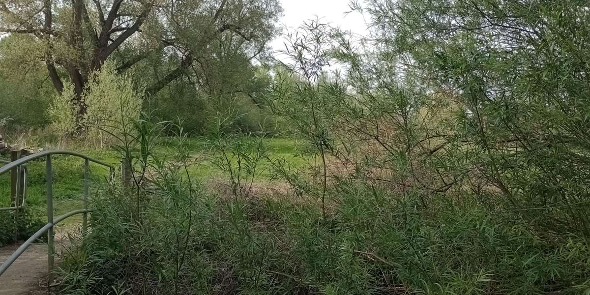 Park Farm Marston 105