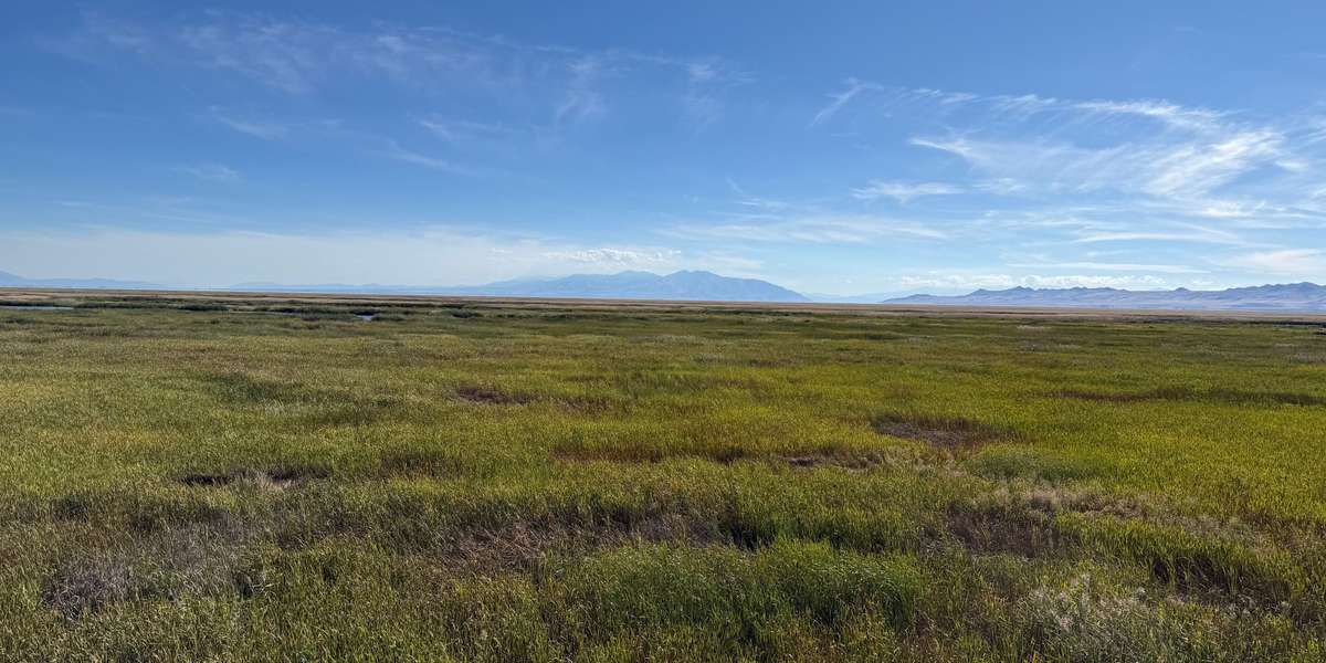 Great Salt Lake Shorelands Preserve Tower