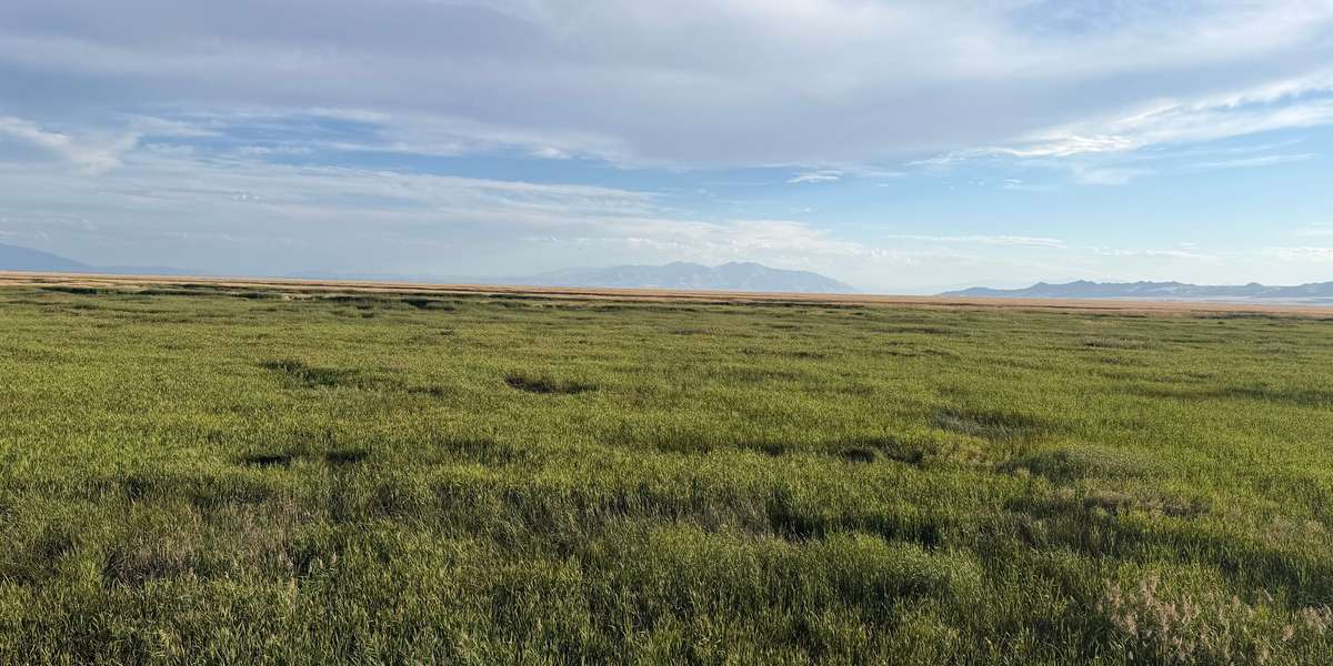 Great Salt Lake Shorelands Preserve Tower