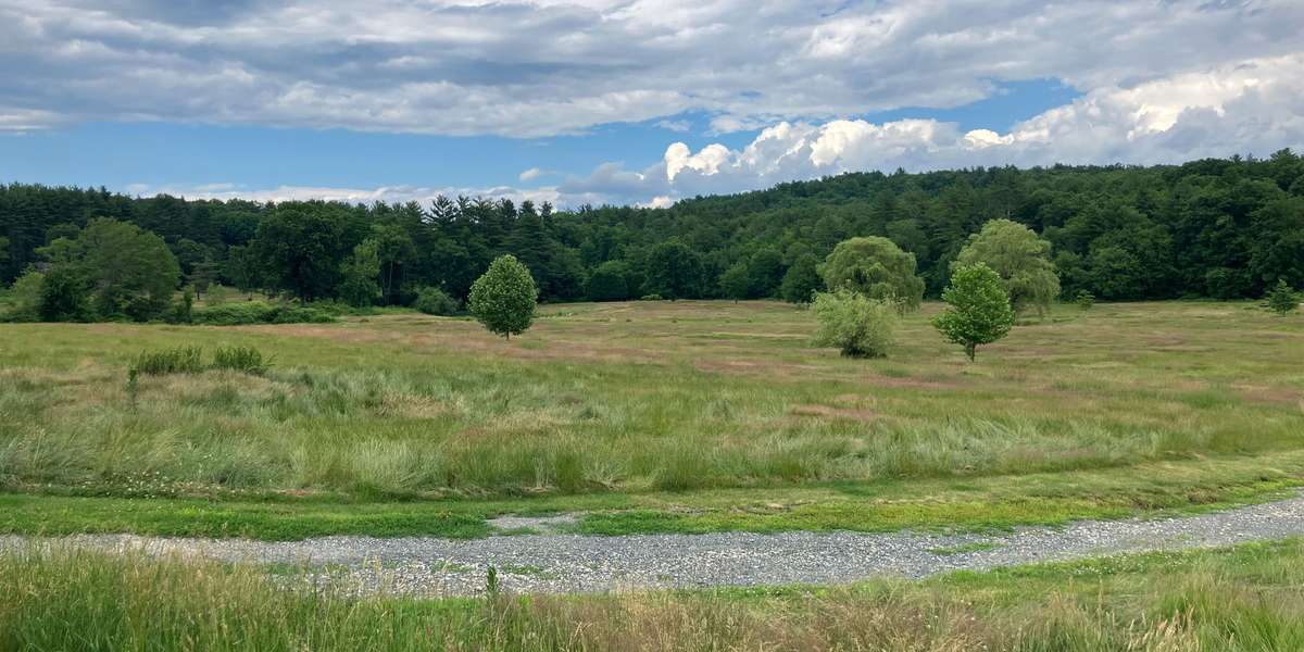 Beaver Brook