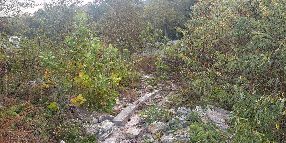 East Lake Daylighted Stream