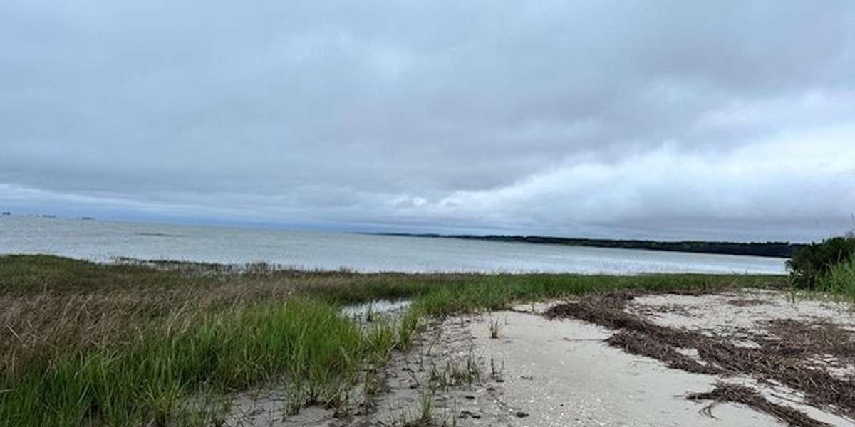 Horse Island Trail Marshes - Oyster, VA