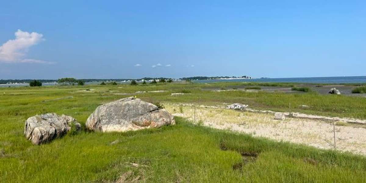 Hammonasset State Park Wetland Restoration
