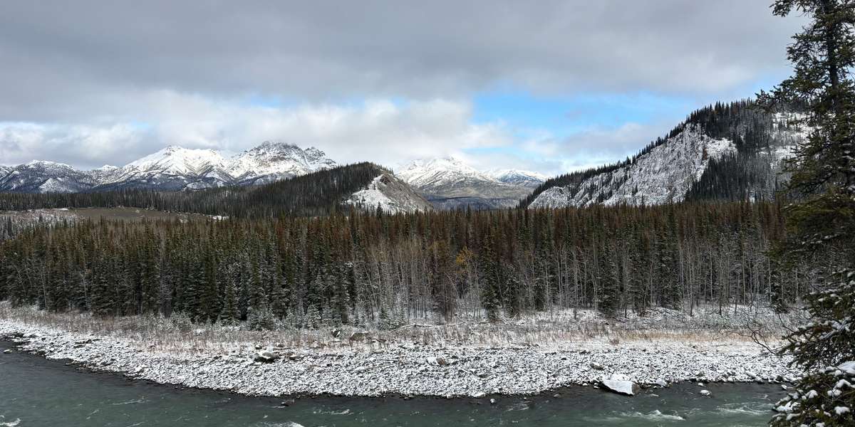Nenana River Overlook