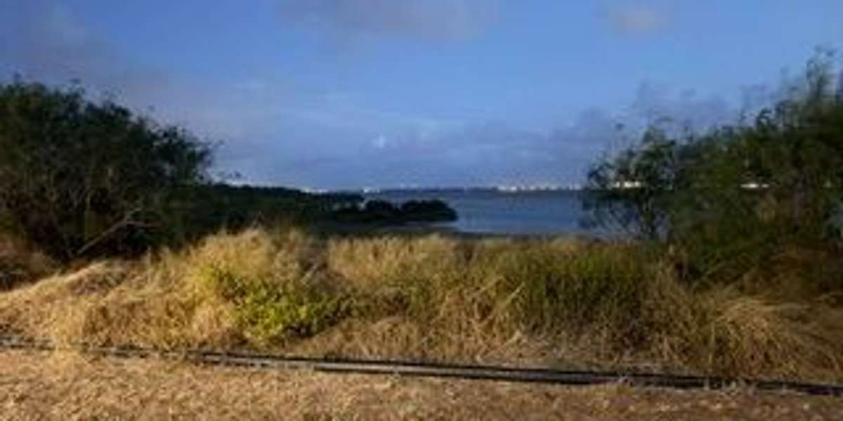 Oso Bay