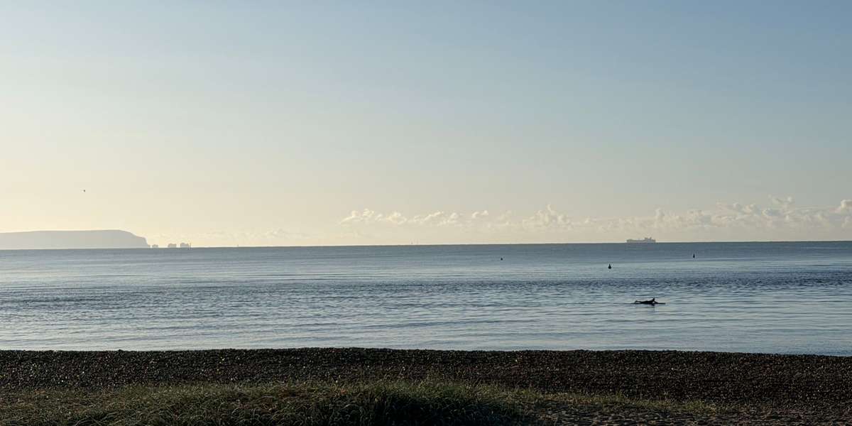 Avon & Mudeford Beachwatch