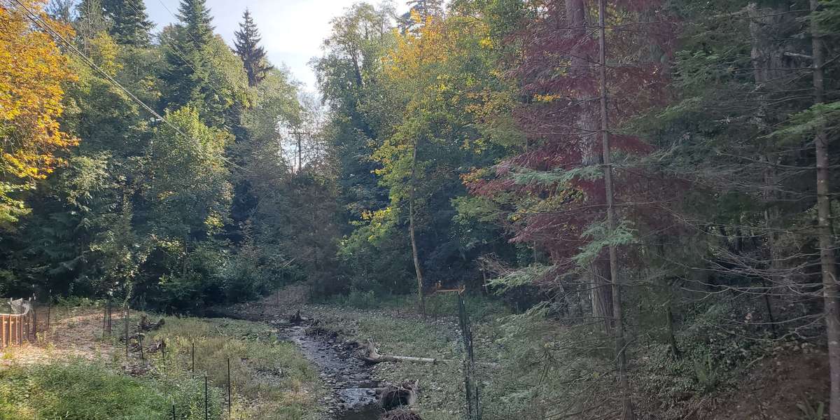 Padden Creek Fish Passage Project (14th Street)