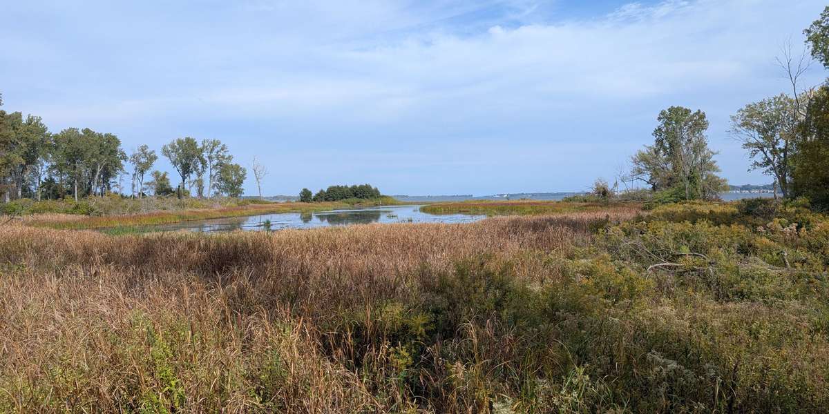The Feather Observation Platform