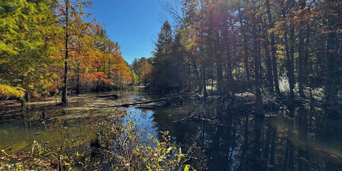 Lake Nevin Outdoor Classroom