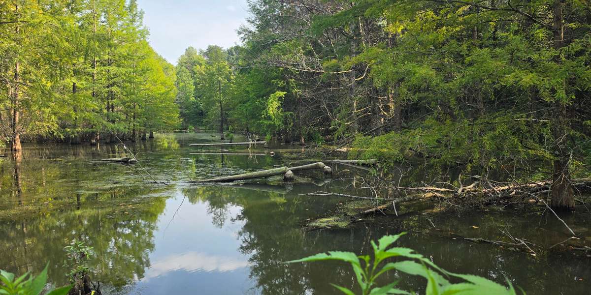 Lake Nevin Outdoor Classroom