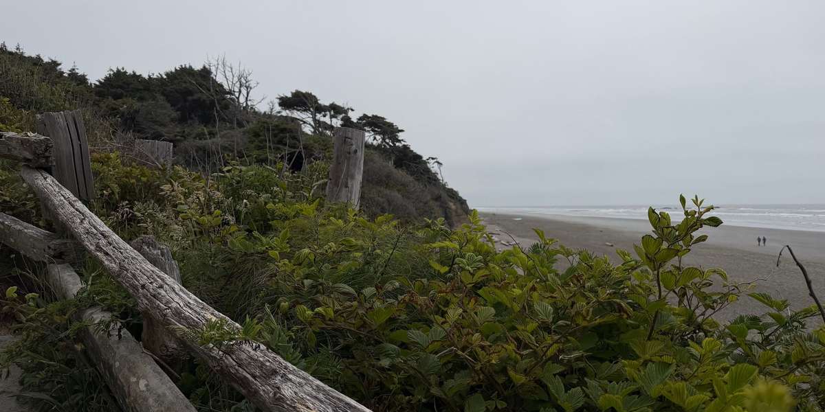 Kalaloch Campground South
