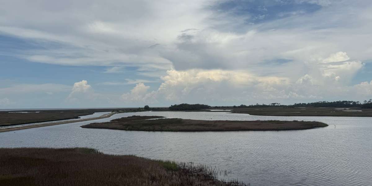 Big Bend WMA - Hickory Mound