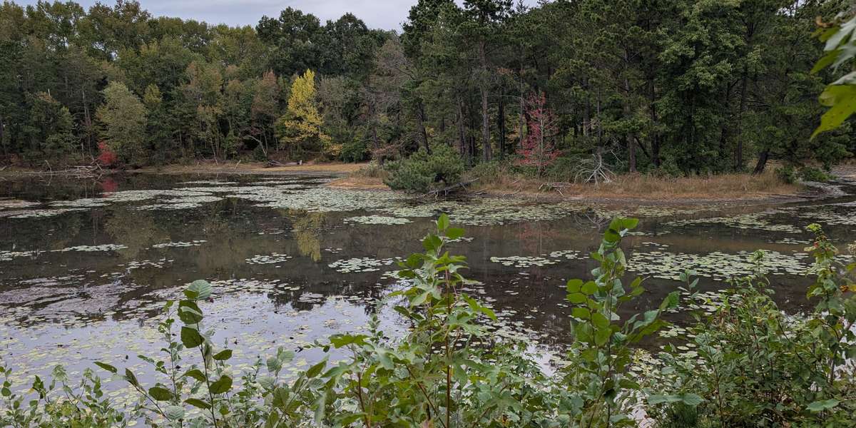 Piney Orchard Nature Preserve