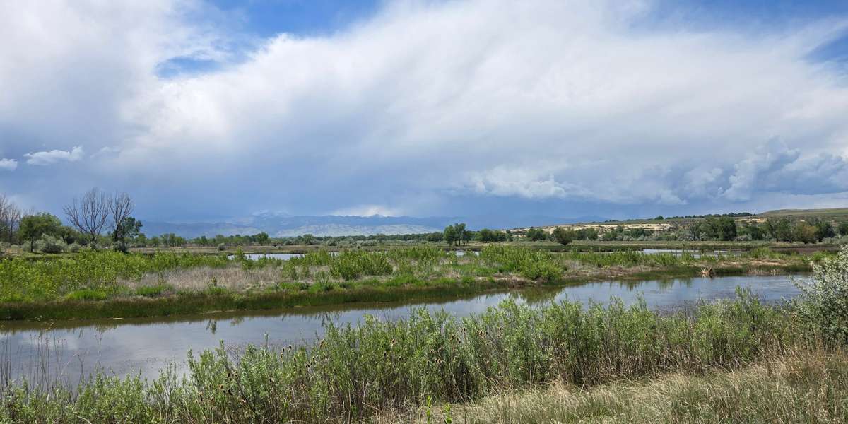 Ertl - White Rocks Wetland Restoration