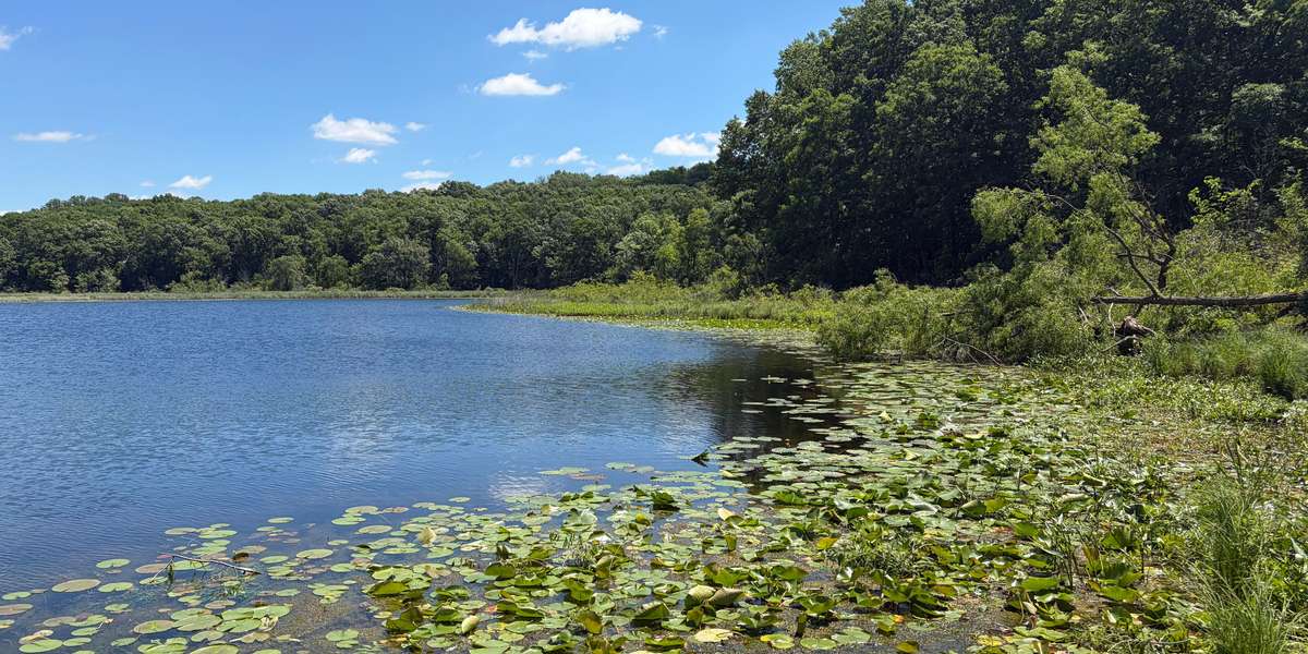 Wing Haven: Little Gentian Lake