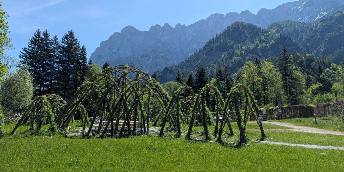 Weidendom / Willow Dome