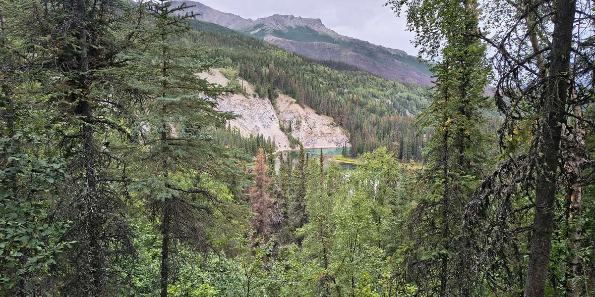 Horseshoe Lake Loop
