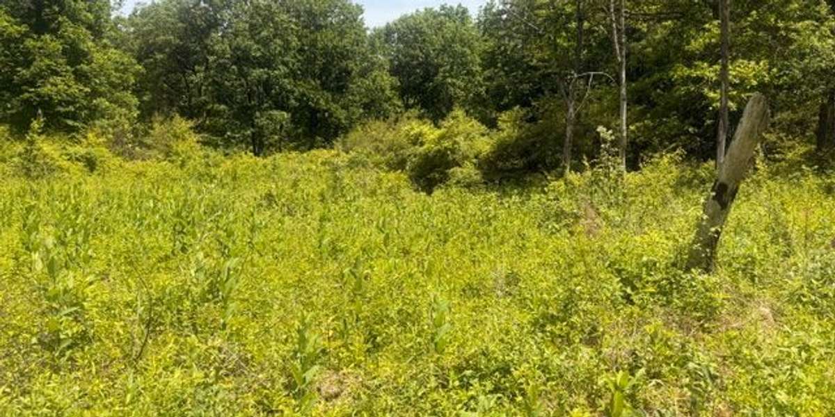 RUEP Small Meadow