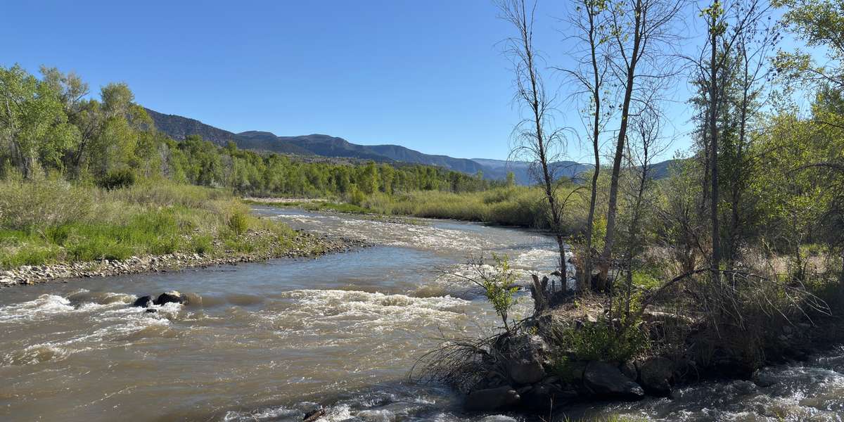 Paonia River Park