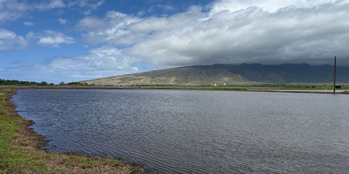 Keālia Kanuimanu Ponds Point 1